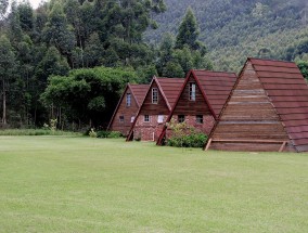 邵武皇庭新世界房产网，探索理想居住的未来邵武皇庭新世界房子怎么样