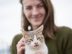 猫咪美容吊床，为爱宠打造全新体验猫咪美容吊床真的有用吗